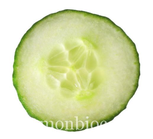 concombre concombre