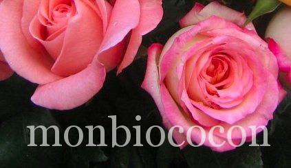 Je fabrique mon eau florale toute seule comme une grande roses