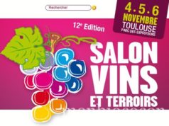 Qui aime le vin me suive ! 12 ème édition Vins et Terroirs à Toulouse salon-vin-terroir