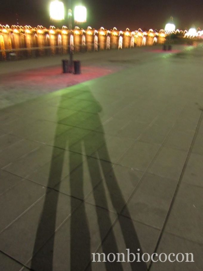 Photos de Bordeaux: depuis le Miroir d’Eau vers le Pont de Pierre 109