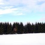 Aubrac