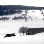 Burons Aubrac