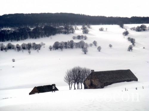 Burons Aubrac