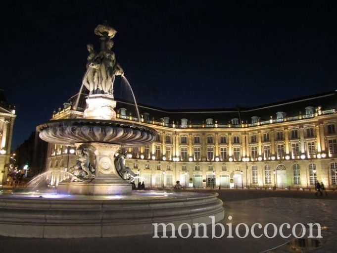 Photos de Bordeaux sous la nuit noire bordeaux6
