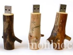 I love les petits bouts de bois et la branche USB branche