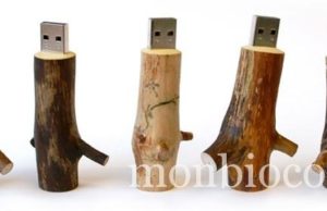 I love les petits bouts de bois et la branche USB branche