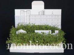 Je sème le bonheur (+ la joie + l’amour) avec ma carte postale carte4