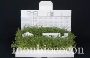 Je sème le bonheur (+ la joie + l’amour) avec ma carte postale carte4