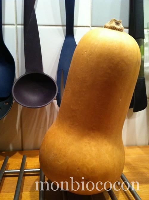 courge-butternut-1
