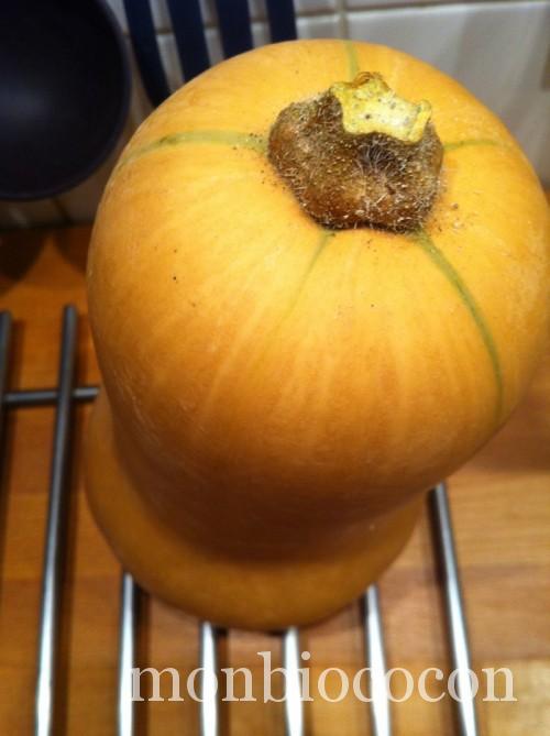 Courge butternut : 3 bonnes raisons d'en manger ! - Le Mag' Guy Demarle