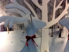 J’aime les décos de Noel… et Noel. Mais faut pas abuser ! noel