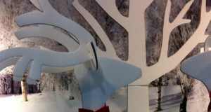 J’aime les décos de Noel… et Noel. Mais faut pas abuser ! noel