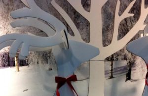 J’aime les décos de Noel… et Noel. Mais faut pas abuser ! noel