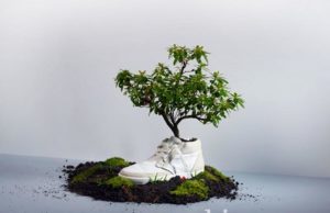 Oat: des baskets 100 % biodégradables à planter au fond du jardin oat-shoe