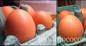 Des poules et des oeufs bio en bas de mon immeuble oeufs