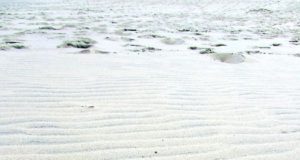 Je voulais juste un échantillon…