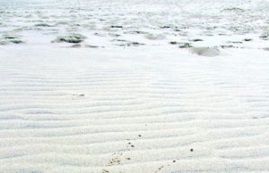 Je voulais juste un échantillon…