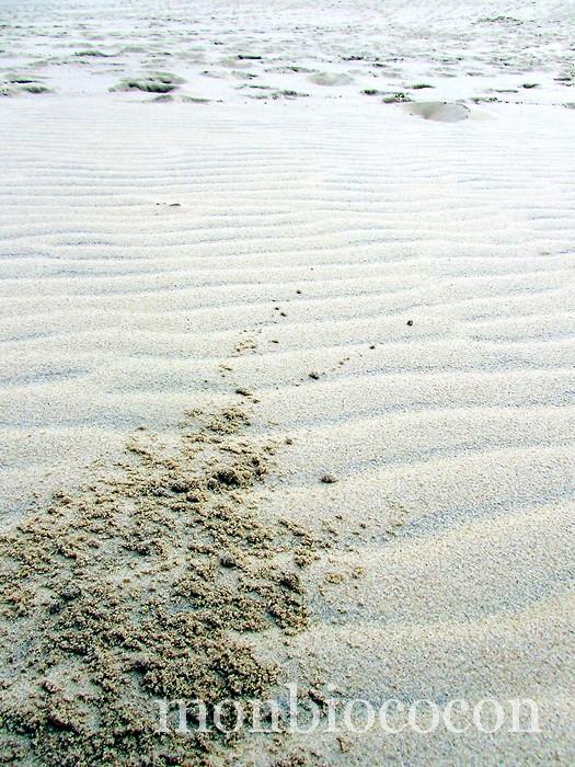 Je voulais juste un échantillon…