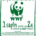 sapin-noel-bouteilles-plastiques-1