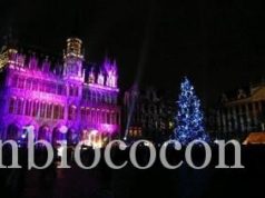 Moi aussi je veux un sapin écologique !