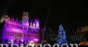 Moi aussi je veux un sapin écologique !