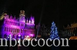 Moi aussi je veux un sapin écologique !