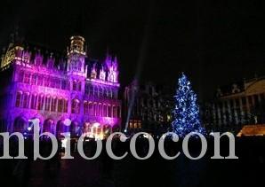 sapin-noel-bruxelles