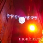 bordeaux-decorations-noel-