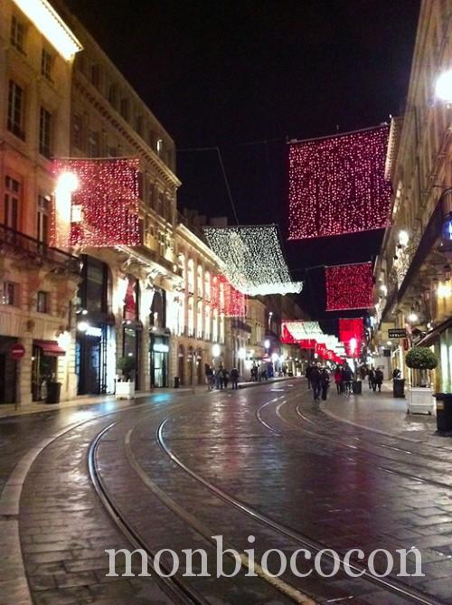 bordeaux-decorations-noel-1