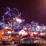 bordeaux-decorations-noel-3
