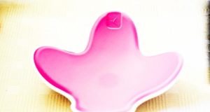 Séance sport, en avant les abdos ! Et découverte de mon abdo gain tout rose domyos-abdo-gain-7