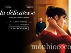 J’ai été voir « La Délicatesse »: un film avec Audrey Tautou en salle depuis hier la-délicatesse-film-audrey-tautou