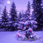 noel-sous-la-neige