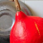 potimarron-1