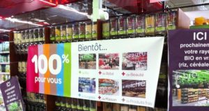 Des produits bio au détail dans mon Carrefour comme en biocoop rayon-bio-mérignac-soleil-bordeaux