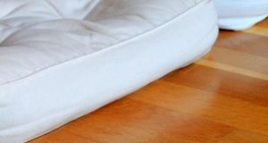 J’ai lu : Terra Madre de Carlo Petrini (et me suis cultivée) terra-madre-4