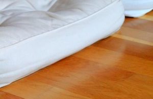 J’ai lu : Terra Madre de Carlo Petrini (et me suis cultivée) terra-madre-4