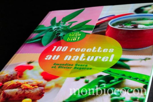 100-recettes-au-naturel-tout-beau-tout-bio-éditions-alternatives-1