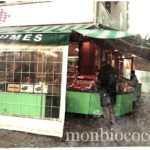 ananas-avion-primeur