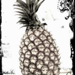 ananas-par-avion-1