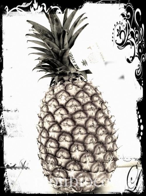 ananas-par-avion-1