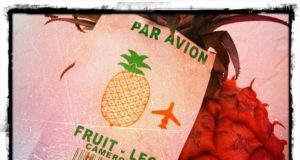 Mon ananas, je l’achète acheminé par avion ou par bateau? C’est quoi la différence? ananas-par-avion