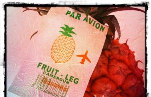 Mon ananas, je l’achète acheminé par avion ou par bateau? C’est quoi la différence? ananas-par-avion