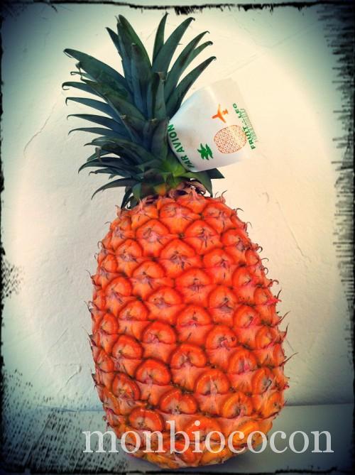 ananas-par-avion-5