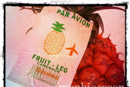 ananas-par-avion
