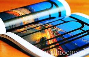 « Bordeaux. Regards » Le livre sur Bordeaux avec de super photos et l’histoire de chaque lieu bordeaux-regards-livre-editions-sud-ouest-6