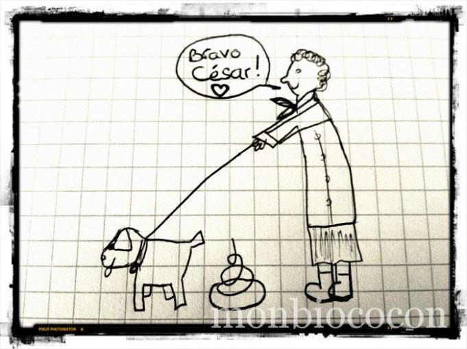 Espionnage et propos de mamie qui fait faire caca à son chien dans le Parc Bordelais caca-chien