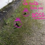 caca-chiens-rues-bordeaux-0
