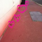 caca-chiens-rues-bordeaux