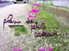 caca-chiens-rues-bordeaux-2